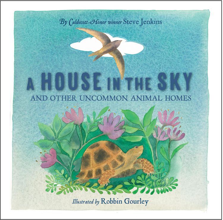 Produktbild: A House in the Sky