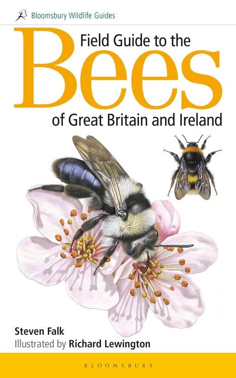 Produktbild: Field Guide to the Bees of Great Britain and Ireland