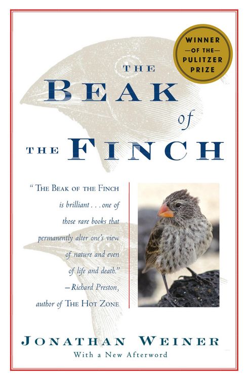 Produktbild: The Beak of the Finch