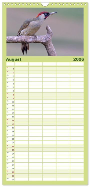 Produktbild: Familienplaner 2026 - Fantastische Vogelwelt Slowenien mit 5 Spalten (Wandkalender, 21 x 45 cm) CALVENDO