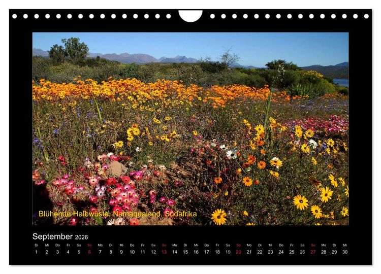 Produktbild: AFRIKA im S&uuml;den (Wandkalender 2026 DIN A4 quer), CALVENDO Monatskalender