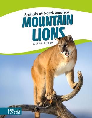 Produktbild: Mountain Lions