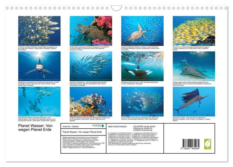 Produktbild: Planet Wasser: Von wegen Planet Erde (Wandkalender 2026 DIN A3 quer), CALVENDO Monatskalender