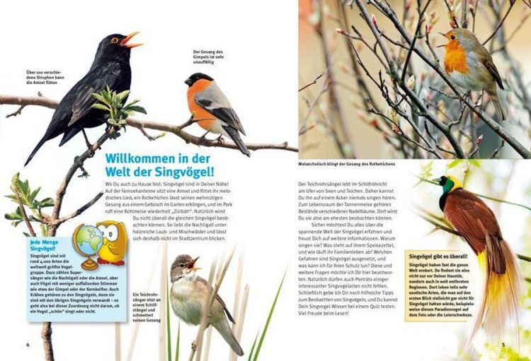 Produktbild: Entdecke die Singv&ouml;gel