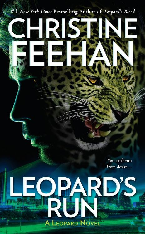 Produktbild: Leopard's Run