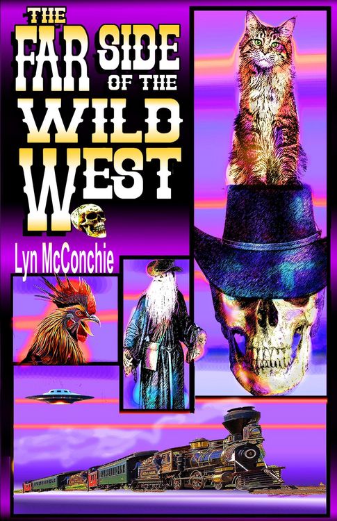 Produktbild: The Far Side of the Wild West