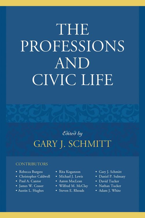 Produktbild: The Professions and Civic Life