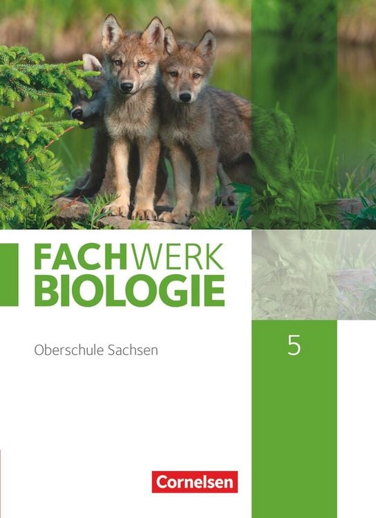 Produktbild: Fachwerk Biologie - Sachsen - 5. Schuljahr - neuer Lehrplan