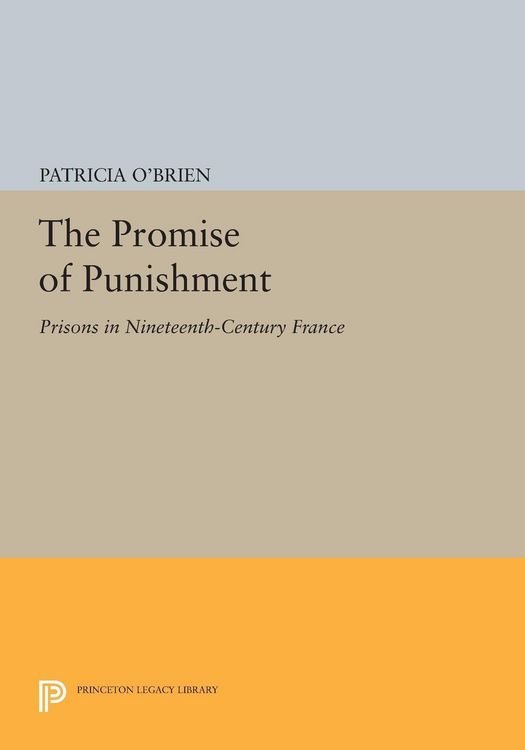 Produktbild: The Promise of Punishment