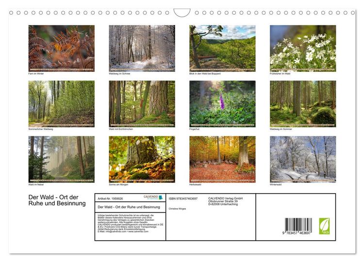 Produktbild: Der Wald - Ort der Ruhe und Besinnung (Wandkalender 2026 DIN A3 quer), CALVENDO Monatskalender