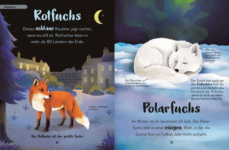 Produktbild: Mein liebstes Buch der Tiere der Nacht