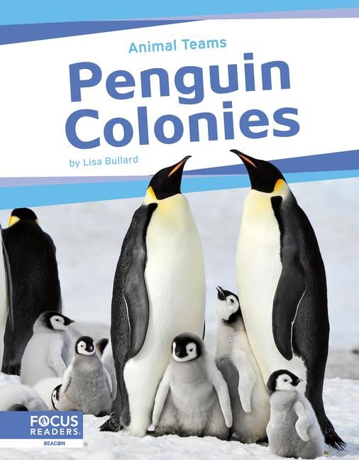 Produktbild: Penguin Colonies