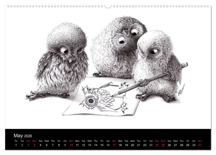 Produktbild: owls & friends 2026 (High Quality Premium Wall Calendar 2026 DIN A2 landscape),CALVENDO 12 Month Wall Calendar