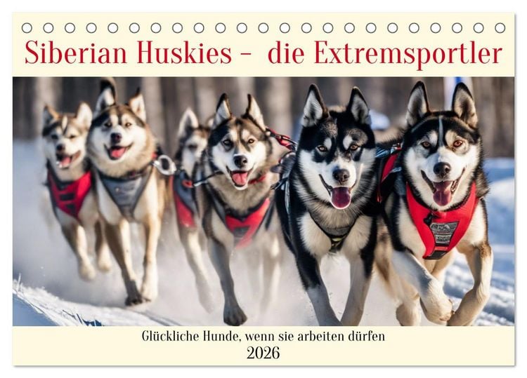 Produktbild: Siberian Huskies - die Extremsportler (Tischkalender 2026 DIN A5 quer), CALVENDO Monatskalender