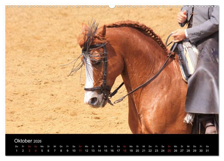 Produktbild: Caballos Spanische Pferde 2026 (Wandkalender 2026 DIN A2 quer), CALVENDO Monatskalender