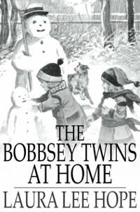Produktbild: Bobbsey Twins at Home