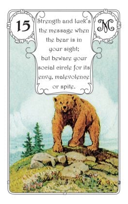 Produktbild: Mlle Lenormand - Red Owl