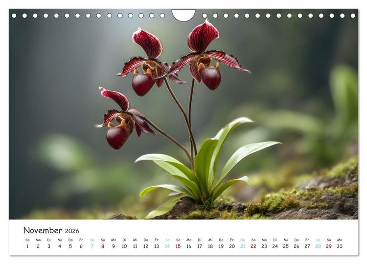 Produktbild: Im Schatten der Orchidee (Wandkalender 2026 DIN A4 quer), CALVENDO Monatskalender