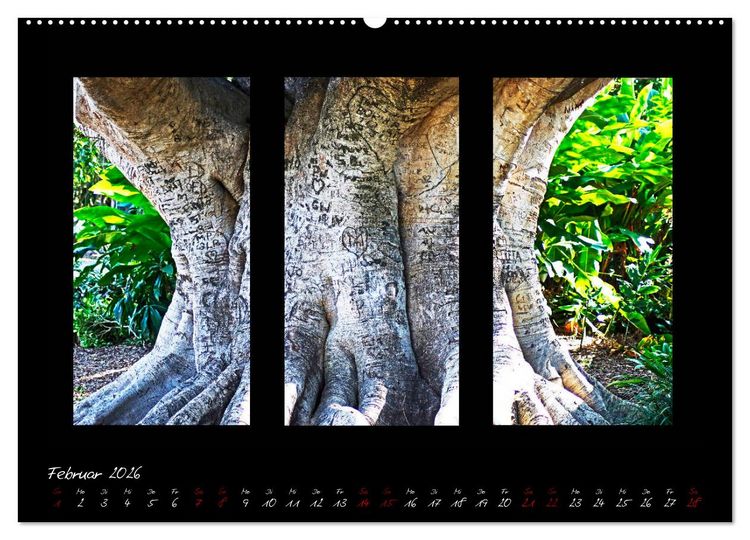 Produktbild: Die Kunst der Natur - Dreifach Stilvoll (hochwertiger Premium Wandkalender 2026 DIN A2 quer), Kunstdruck in Hochglanz