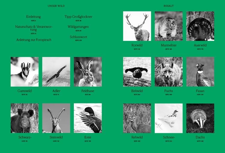 Produktbild: Unser Wild