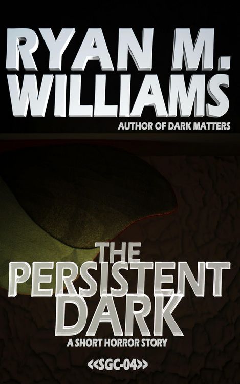 Produktbild: The Persistent Dark (Super Great Challenge Stories, #4)