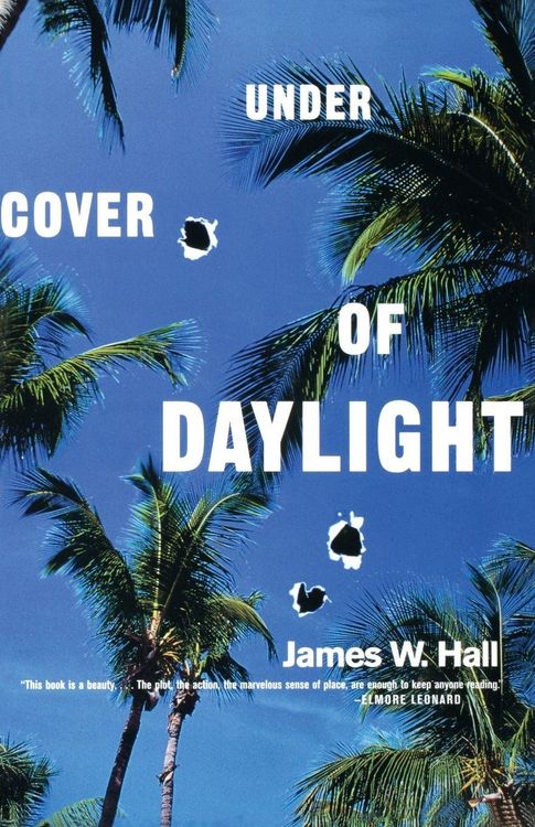 Produktbild: Under Cover of Daylight