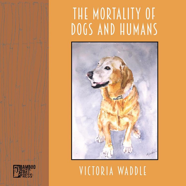 Produktbild: The Mortality of Dogs and Humans