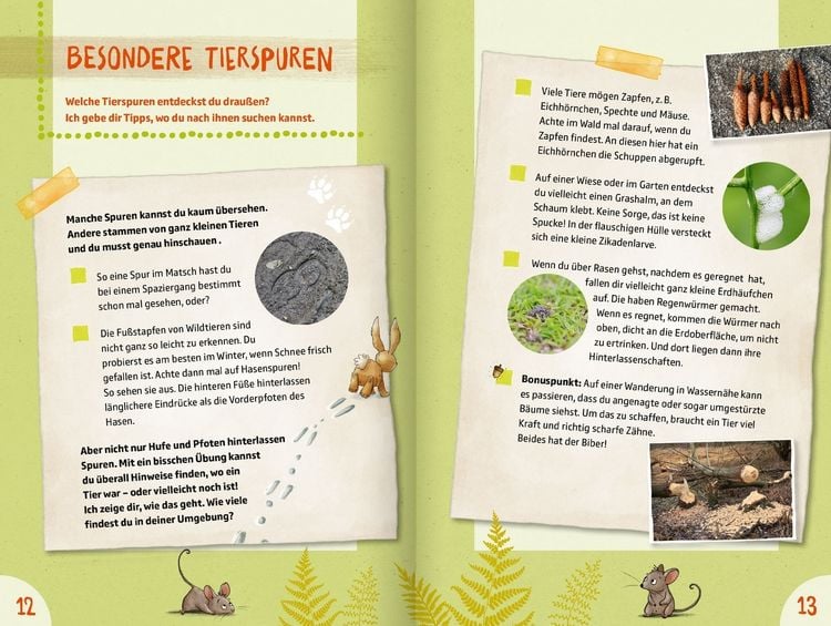 Produktbild: 50 Naturgeheimnisse und Outdoorabenteuer