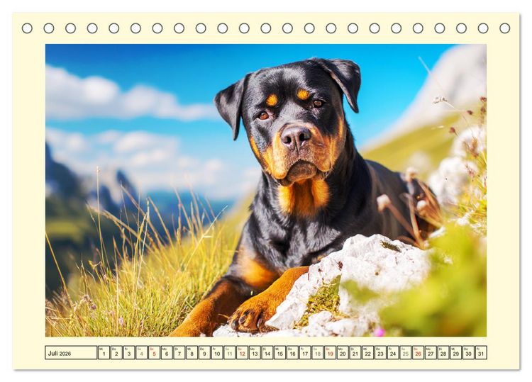 Produktbild: Rottweiler Momente. Kraftvolle Eleganz in der Natur (Tischkalender 2026 DIN A5 quer), CALVENDO Monatskalender