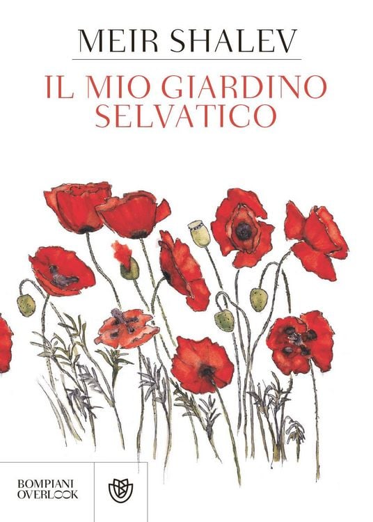 Produktbild: Il mio giardino selvatico