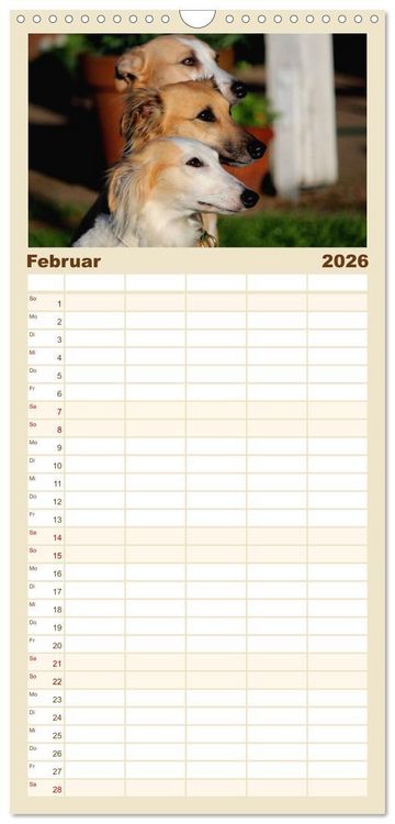 Produktbild: Familienplaner 2026 - Der Silken Windsprite - ein Seelenhund mit 5 Spalten (Wandkalender, 21 x 45 cm) CALVENDO