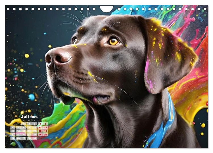 Produktbild: Splash - Hunde im Farbrausch (Wandkalender 2026 DIN A4 quer), CALVENDO Monatskalender