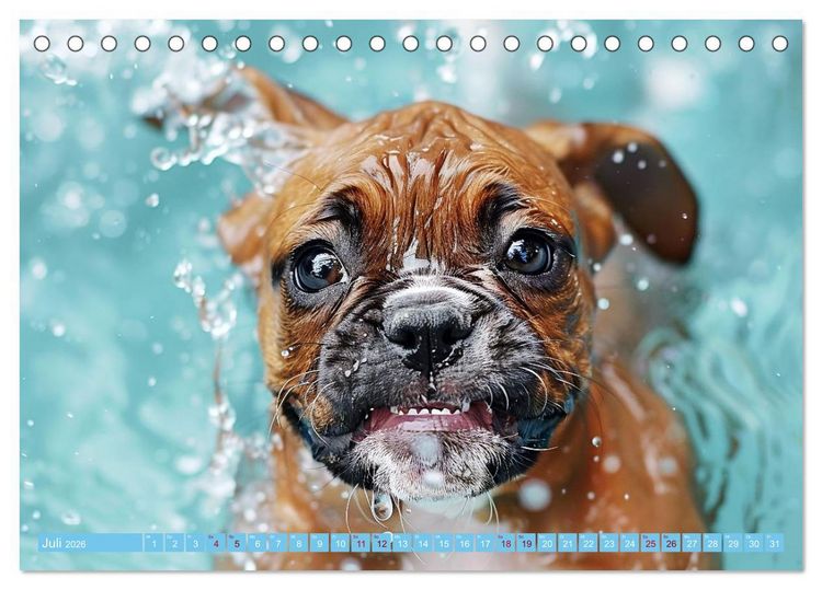 Produktbild: Hunde und Wasser (Tischkalender 2026 DIN A5 quer), CALVENDO Monatskalender