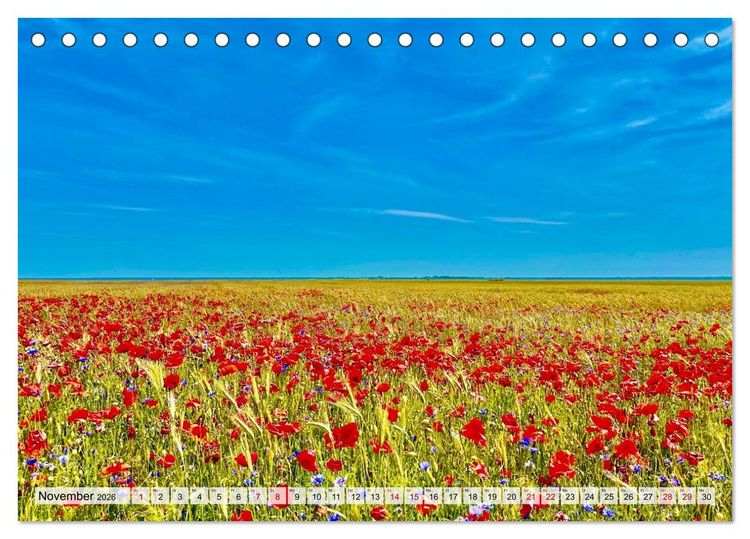 Produktbild: Fischland: zwischen Ostsee und Bodden (Tischkalender 2026 DIN A5 quer), CALVENDO Monatskalender