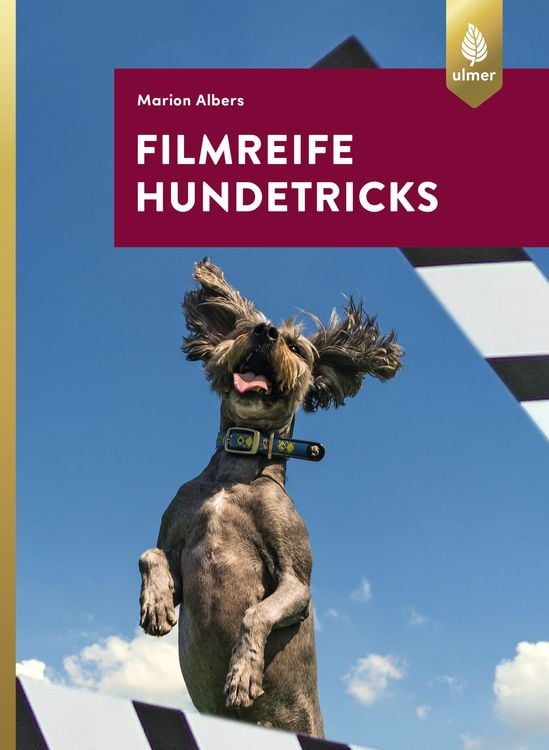 Produktbild: Filmreife Hundetricks