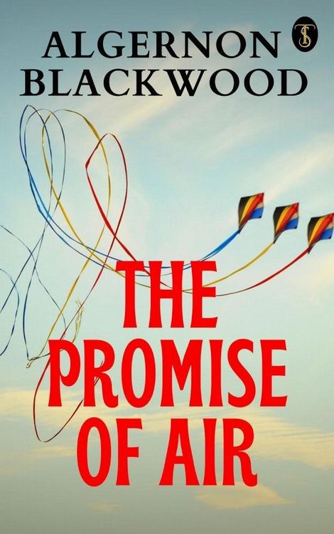 Produktbild: The Promise of Air