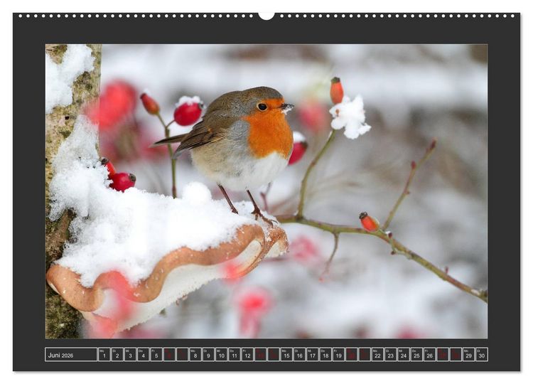 Produktbild: Winterzauber - Tiere in Eis und Schnee (Wandkalender 2026 DIN A2 quer), CALVENDO Monatskalender