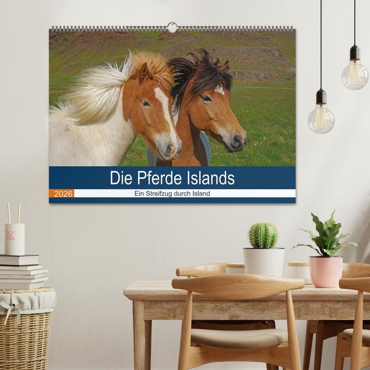 Produktbild: Die Pferde Islands - Ein Streifzug durch Island (Wandkalender 2026 DIN A2 quer), CALVENDO Monatskalender