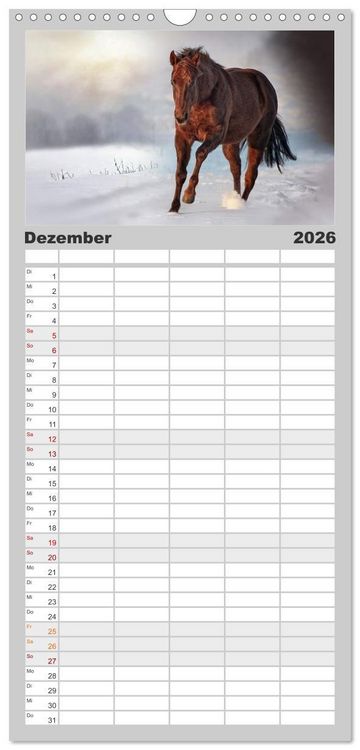 Produktbild: Familienplaner 2026 - Faszination Westernpferde mit 5 Spalten (Wandkalender, 21 x 45 cm) CALVENDO