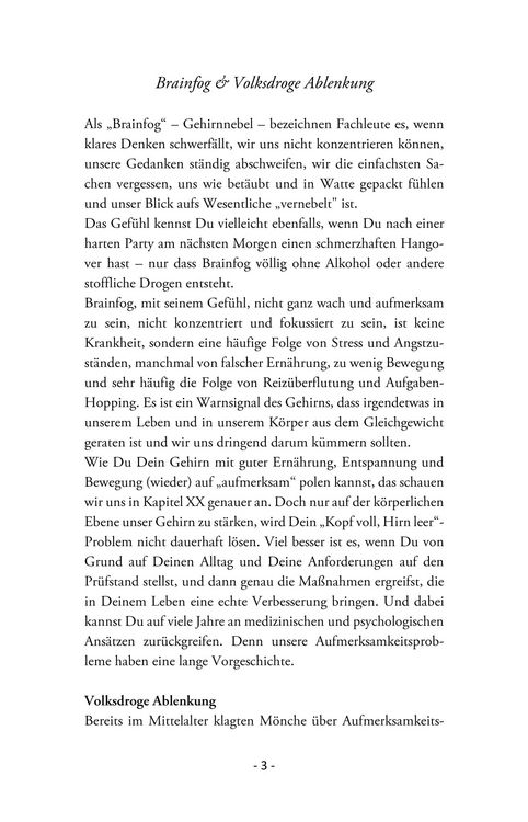 Produktbild: Kopf voll, Hirn leer