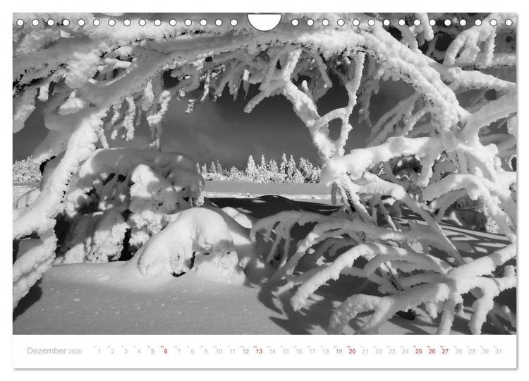 Produktbild: Mystischer Schwarzwald (Wandkalender 2026 DIN A4 quer), CALVENDO Monatskalender