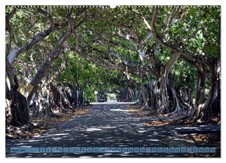 Produktbild: Florida Spots II (Wandkalender 2026 DIN A2 quer), CALVENDO Monatskalender