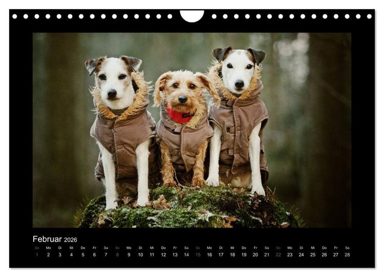 Produktbild: Die Parsons (Wandkalender 2026 DIN A4 quer), CALVENDO Monatskalender
