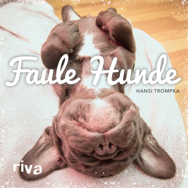 Produktbild: Faule Hunde