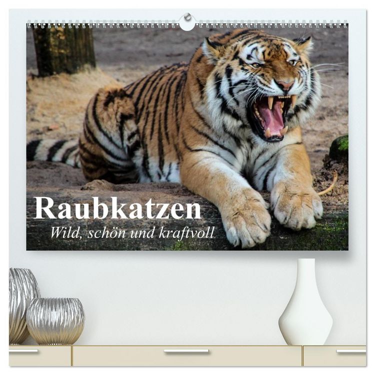 Produktbild: Raubkatzen. Wild, sch&ouml;n und kraftvoll (hochwertiger Premium Wandkalender 2026 DIN A2 quer), Kunstdruck in Hochglanz