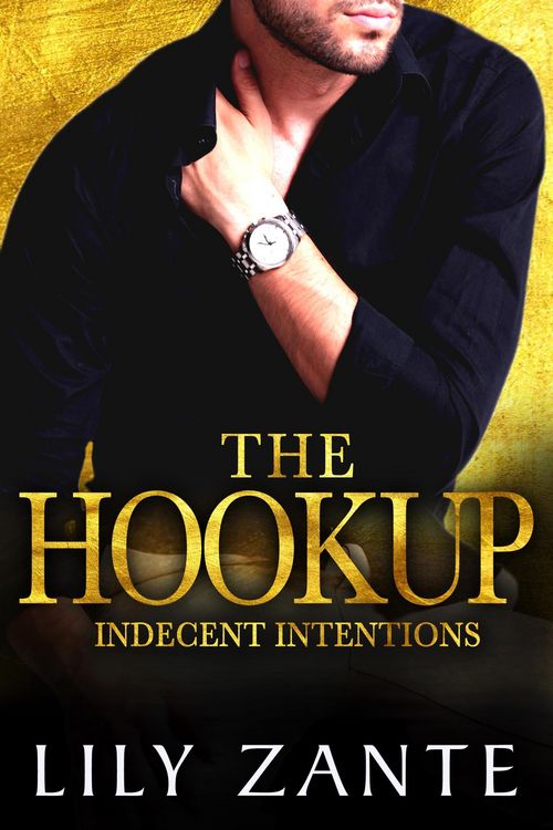 Produktbild: The Hookup (Indecent Intentions, #2)