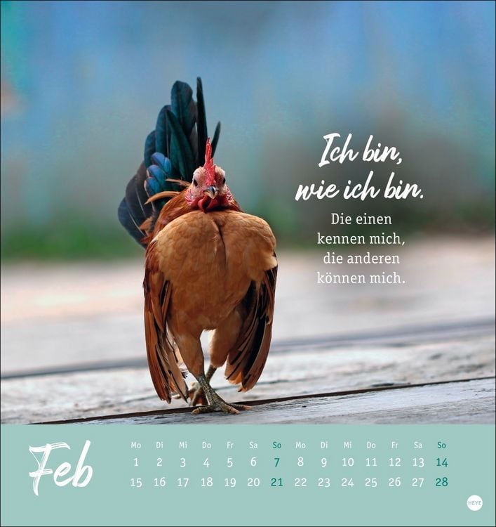 Produktbild: H&uuml;hner Postkartenkalender 2027 - Ach, du verr&uuml;cktes Huhn!