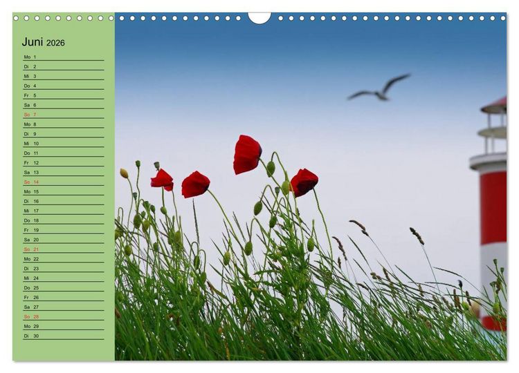 Produktbild: Mohnblumen Tr&auml;ume (Wandkalender 2026 DIN A3 quer), CALVENDO Monatskalender