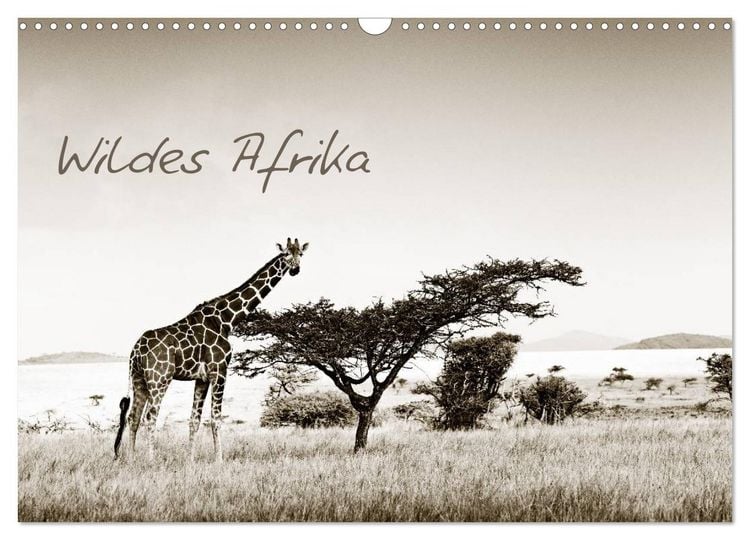 Produktbild: Wildes Afrika (Wandkalender 2026 DIN A3 quer), CALVENDO Monatskalender