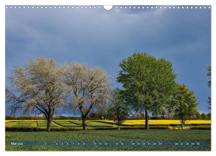 Produktbild: Kappeln und die Schlei (Wandkalender 2026 DIN A3 quer), CALVENDO Monatskalender
